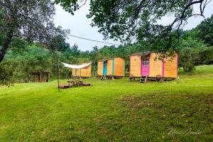 a group of colorful huts in a grass field at Poiana Stelelor in Văleni