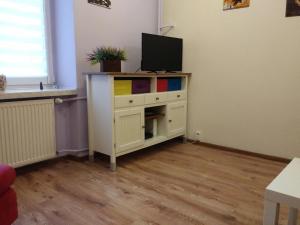 Televízia a/alebo spoločenská miestnosť v ubytovaní Apartament Eliot