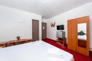 TV a/nebo společenská místnost v ubytování Pensiunea Ursuletul Paddington