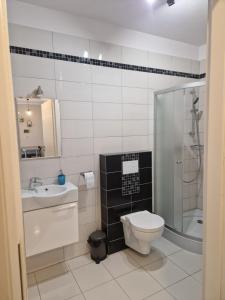a bathroom with a toilet and a sink and a shower at Domki Piecykowo in Międzybrodzie Żywieckie