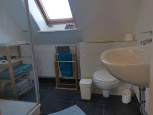 ein Bad mit einem Waschbecken und einem WC in der Unterkunft Ferienwohnung am Bauernhof in Behrensdorf