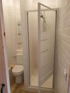 a bathroom with a toilet and a glass shower door at Les Iris Véranda Parcking in Le Mont-Dore