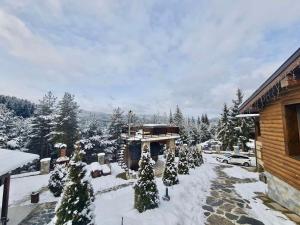 Belvedere Hills في دوسبات: ساحة مغطاة بالثلج مع منزل وأشجار عيد الميلاد