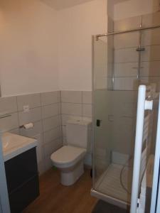 a bathroom with a toilet and a glass shower at Maison de Fernand in Montjay