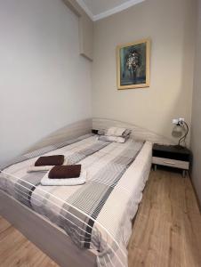 ソフィアにあるBudapest Central Cozy Studio w Working Space and WiFiのベッドとタオル2枚のある寝室