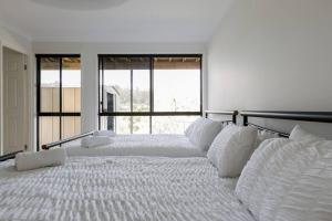 two large white beds in a room with windows at Gold Coast Theme Parks With a Pool in Gold Coast