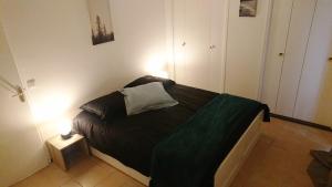 sypialnia z łóżkiem z zielonym kocem w obiekcie Lodève Oasis w mieście Lodève