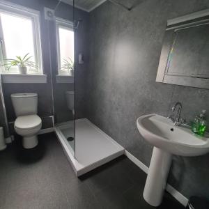 a bathroom with a toilet and a sink and a shower at Levenhowe Holiday Apartment in Balloch