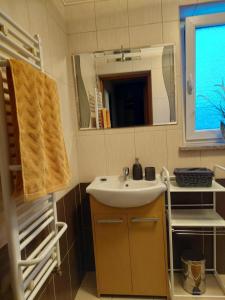 een badkamer met een wastafel en een spiegel bij Domek nad potokiem in Kluszkowce