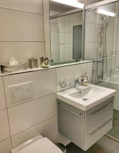 a bathroom with a sink and a toilet and a mirror at Büelbad - Relax Holiday Apartment in Kandersteg