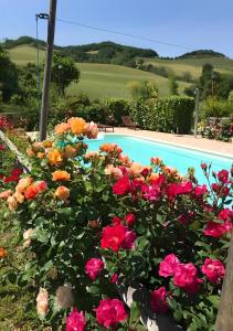 Ein paar Blumen neben einem Pool in der Unterkunft Agriturismo La Valle Dimenticata in Urbania