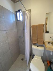 a bathroom with a shower and a toilet and a sink at Willhouse Hostel in Pucón
