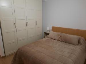 1 dormitorio con 1 cama y armarios blancos en ATICO CENTRO GANDIA, en Gandía