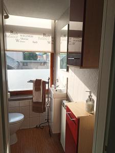 a small bathroom with a sink and a toilet at zur Friedrichsruh in Oelsnitz