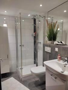 ein Bad mit einer Dusche, einem WC und einem Waschbecken in der Unterkunft Habitat Himmelgeist in Düsseldorf