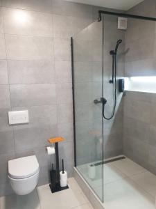 uma casa de banho com um chuveiro e um WC. em Apartmán Pribina em Nitra