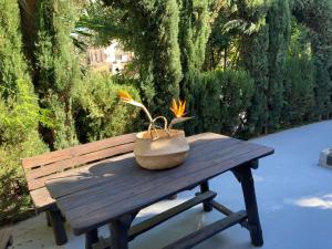 uma mesa de piquenique de madeira com um vaso de plantas em Estudio Pedregalejo Garden Málaga em Málaga