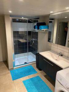 een badkamer met een douche en een wastafel bij Our Lily House, een gezellig familiehuis in rustige omgeving in Brugge