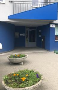 a blue building with a bowl of flowers in front of it at COMFORT GRAŻYŃSKIEGO 7A in Katowice
