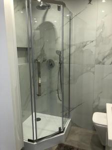 a glass shower in a bathroom with a toilet at COMFORT GRAŻYŃSKIEGO 7A in Katowice