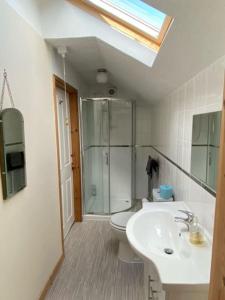 a bathroom with a toilet and a sink and a shower at Serendipity in Pateley Bridge