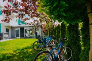 two bikes parked in the grass in front of a house at Ośrodek Sea Star Premium in Sarbinowo