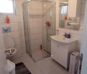 uma casa de banho com um chuveiro, um lavatório e um WC. em Perfect Holidays em Vlasic