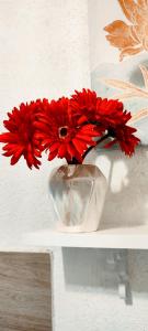 a vase with red flowers in it on a shelf at WIZARD APARTMENT in Žabljak