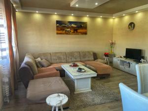 sala de estar con sofá y mesa en Apartment Alexandar en Podgorica