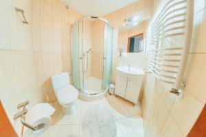 a bathroom with a toilet and a shower and a sink at Willa Szafir in Kołobrzeg +16 photos