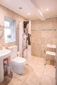 a bathroom with a toilet and a shower and a sink at Blackberry Annex. Detached cottage. Rural location in West Chiltington