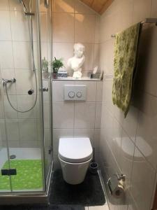 ein Bad mit einem WC und einer Glasdusche in der Unterkunft 2-room-apartment with shared garden place and view on nature reserve in Brügg