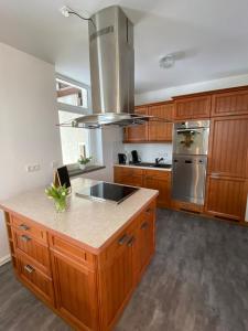 eine Küche mit Holzschränken und Edelstahlgeräten in der Unterkunft Apartment im Grünen in Lichtenstein