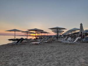 Fotografie z fotogalerie ubytování EVRIDIKI Home 90m from the beach v destinaci Skála Nikíta
