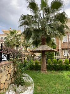 uma palmeira com um guarda-chuva de palha num quintal em Villa soso em Okurcalar