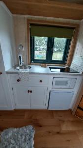 a small kitchen with a sink and a window at Penelope in West Chiltington