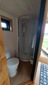 a small bathroom with a toilet and a shower at Penelope in West Chiltington