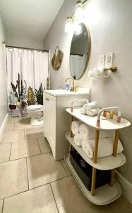 La salle de bains est pourvue d'un lavabo, de toilettes et d'un miroir. dans l'établissement Love this WeHo Gem, à Nashville