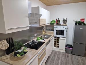 Kuchnia lub aneks kuchenny w obiekcie Apartment St. Pölten