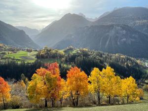 a group of trees with mountains in the background at Sonnige Panorama Aussicht bei Davos Lenzerheide in Schmitten