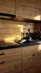 a kitchen with a sink and a counter top at Hamajdówka in Zubrzyca Górna