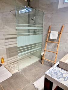 ein Badezimmer mit einer Glasdusche mit einer Leiter in der Unterkunft villa La Mérédith in Le Lamentin