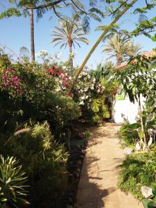 a path through a garden with flowers and palm trees at Très BEAU BUNGALOW,JARDIN TROPICAL, RENOVATION ETE 2020 in Playa del Ingles