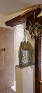 a bathroom with two baskets on a counter in a room at Le Refuge du Bugey in Saint-Sorlin-en-Bugey