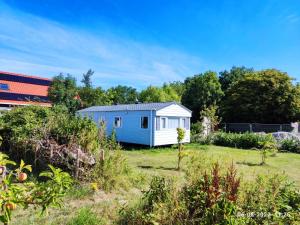 uma pequena casa azul e branca num jardim em mini-camping 't Bergje em Serooskerke
