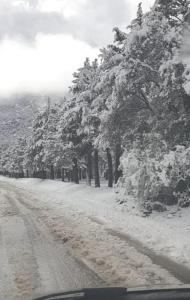 une route enneigée avec des arbres sur le côté dans l'établissement Super Chalet à Imouzzer kendar., à Imouzzer du Kandar
