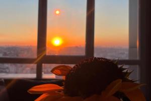 un fiore seduto davanti a una finestra con il tramonto di Sojourner Homes a Istanbul