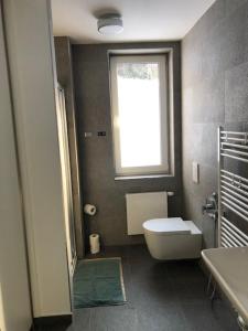 Koupelna v ubytování Apartmán U lomu Dolní Morava