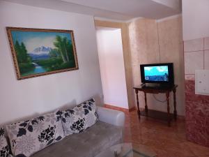 TV o dispositivi per l'intrattenimento presso Apartmani Sobe Sljivancanin