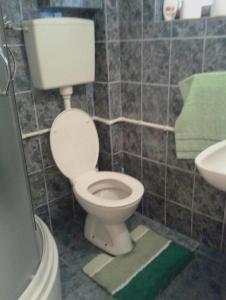 Bagno di Apartmani Sobe Sljivancanin